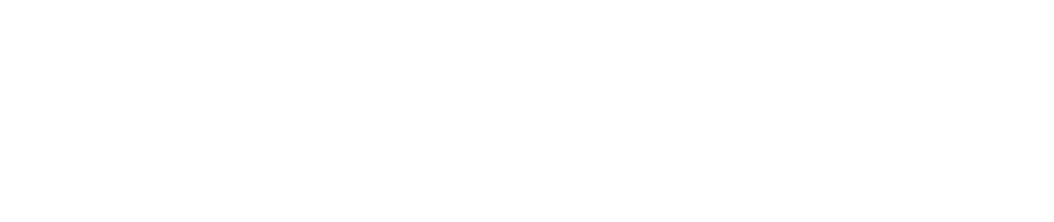 Bizmasoft LLC. Logo